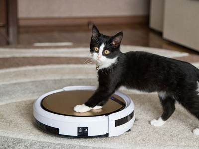 3 Key Functions to Be Considered When Choosing Robot Vacuum for Pet Hair Cleaning